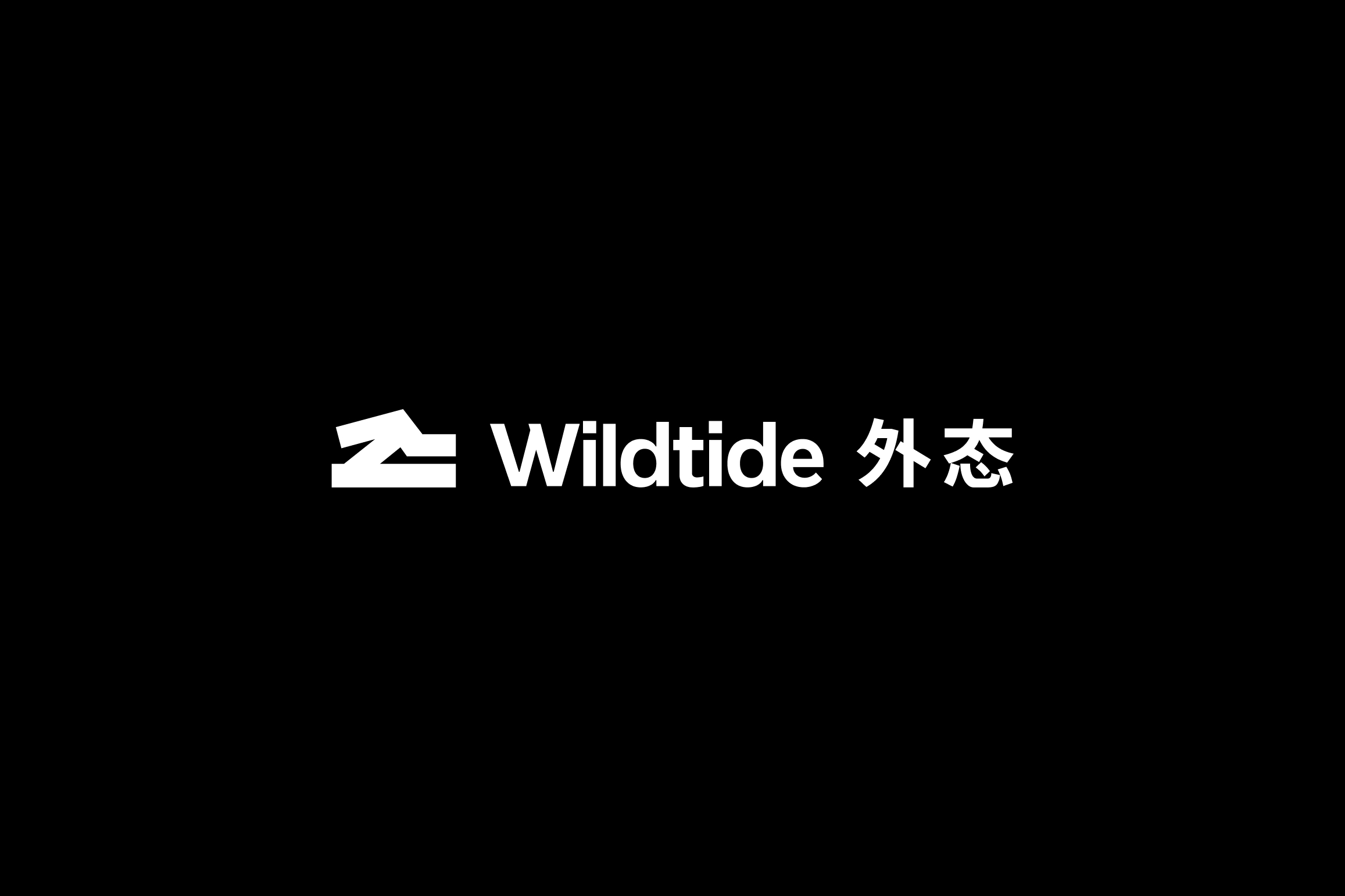 Wildtide轻户外品牌设计_李政宏_001.jpg