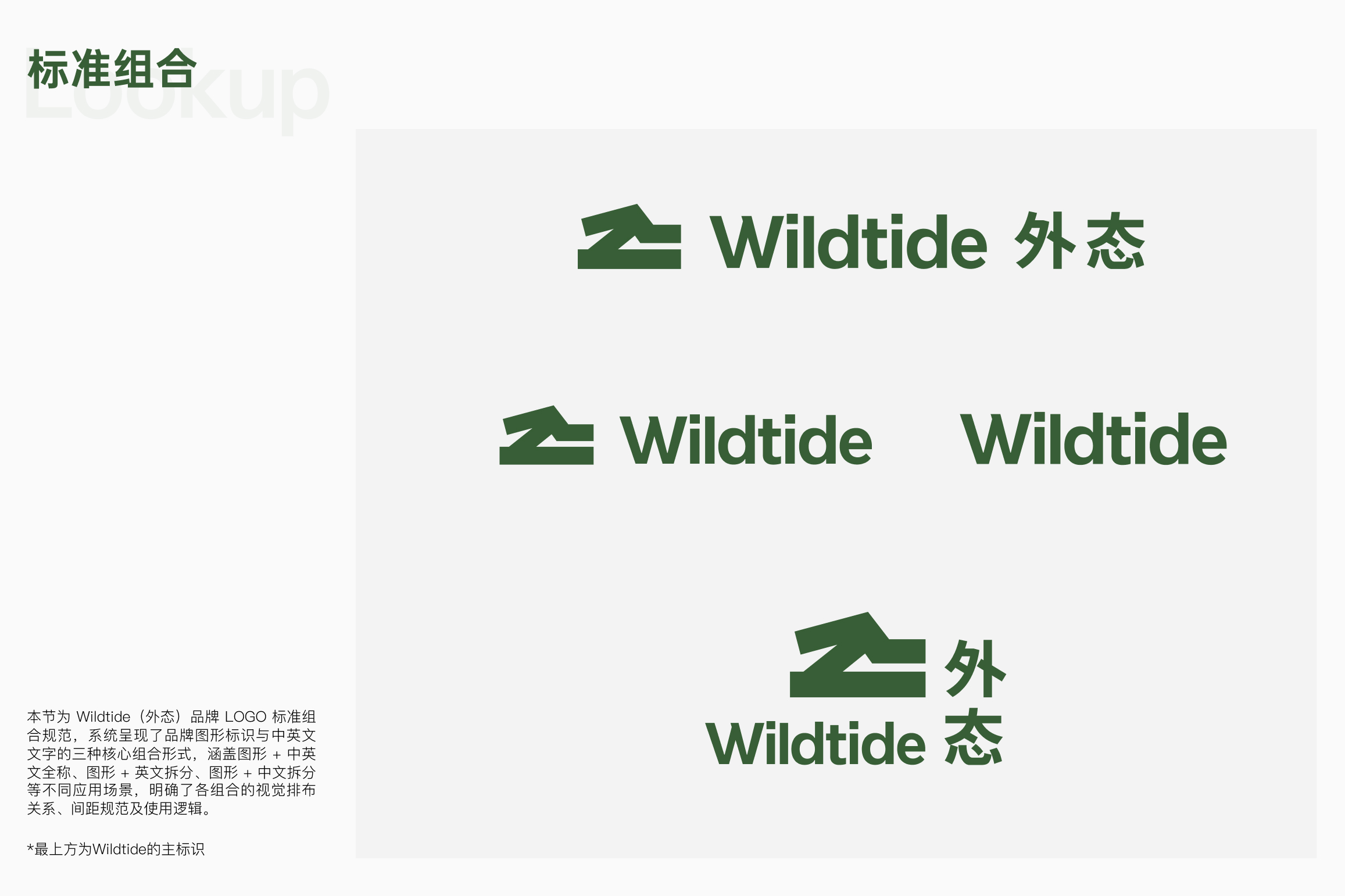 Wildtide轻户外品牌设计_李政宏_007.jpg