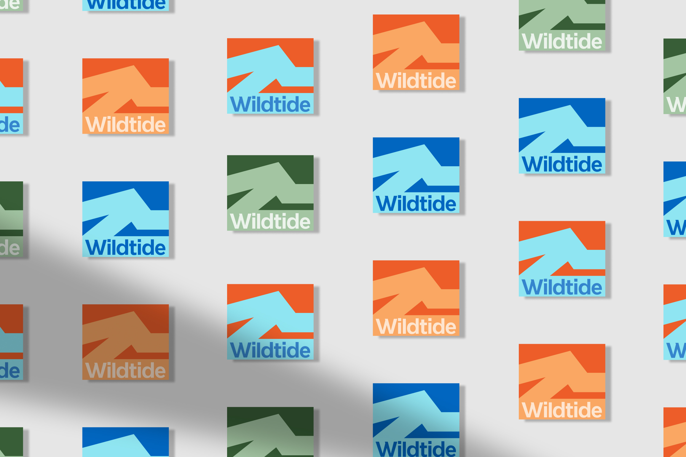 Wildtide轻户外品牌设计_李政宏_009.jpg